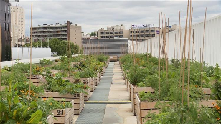 Το μεγαλύτερο αγρόκτημα στην ταράτσα της Ευρώπης μεγαλώνει ξανά