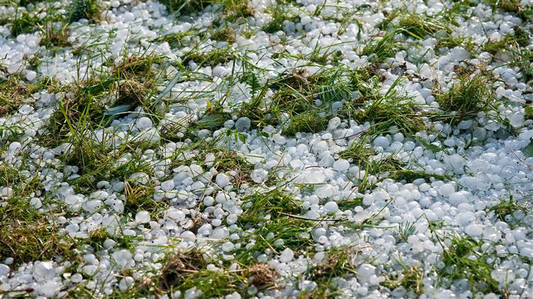 Ενίσχυση της Γεωργικής Ασφάλισης με τη χρήση δεδομένων δορυφορικής τηλεπισκόπησης