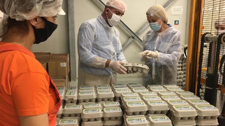 Δυναμικός, με εξαιρετικές προοπτικές ο κλάδος της πτηνοτροφίας – αυγοπαραγωγής