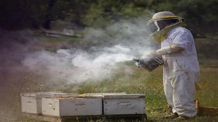 Γιάνους Βοϊτσεχόφσκι: Πως μπορεί η Ελλάδα να βοηθήσει τους μελισσοκόμους στην Εύβοια