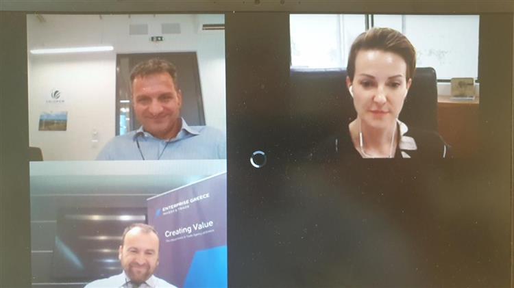 Αλ. Σδούκου: Αύξηση 10% στο μερίδιο των ΑΠΕ στην ηλεκτροπαραγωγή