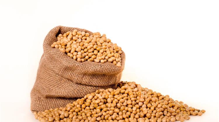 Σόγια: Αυξημένες εξαγωγές από τη Βραζιλία