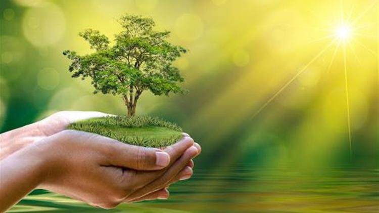 Κορωνοϊός: Έδωσε “ζωή” στο περιβάλλον