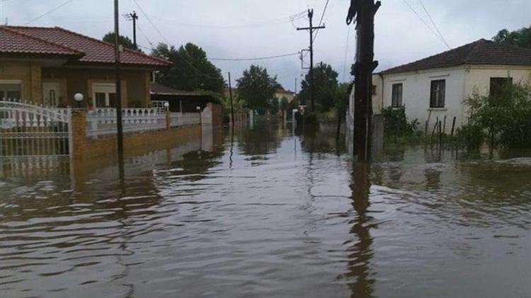 Θεσσαλονίκη: Τεράστιες ζημιές προκάλεσε η κακοκαιρία σε γεωργία και κτηνοτροφία