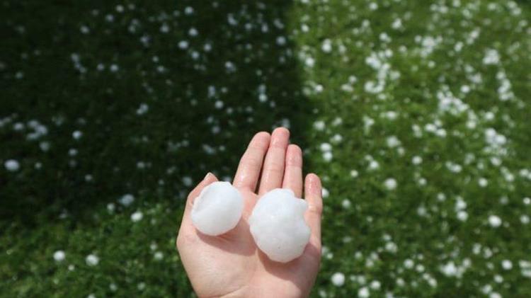 Χρ. Γκοσλιόπουλος: Η αποτίμηση των ζημιών της  χαλαζόπτωσης