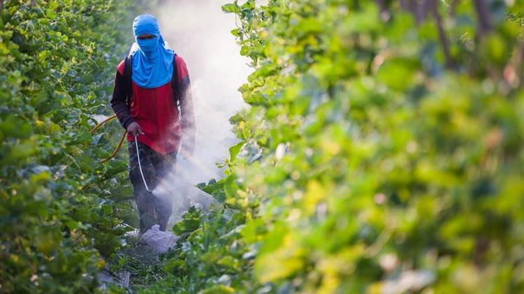 Δράμα: Ανανέωση πιστοποιητικού γνώσεων χρήσης γεωργικών φαρμάκων