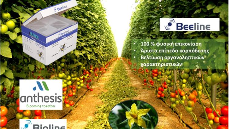 Η Σωστή Επικονίαση με την Χρήση Βομβίνων