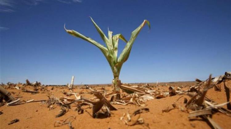 Σύνοδος κορυφής των Ηνωμένων Εθνών για τη βιοποικιλότητα