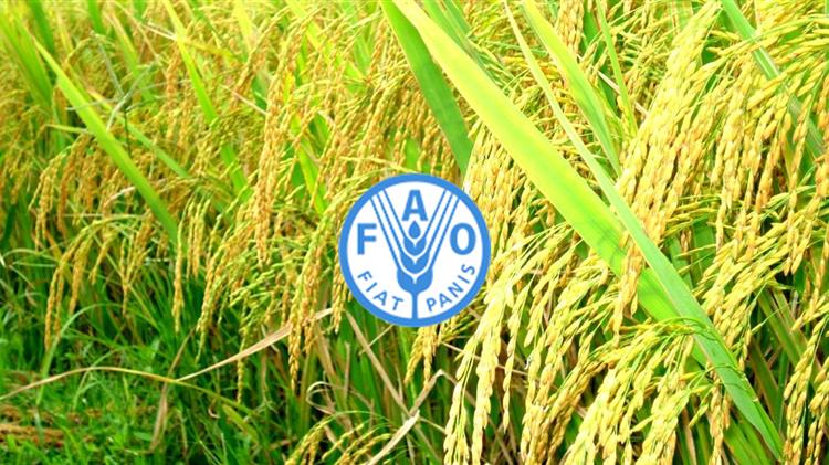 FAO: Επείγοντα μέτρα για την αναχαίτιση του αφθώδους πυρετού σε Ευρώπη και Ανατολή