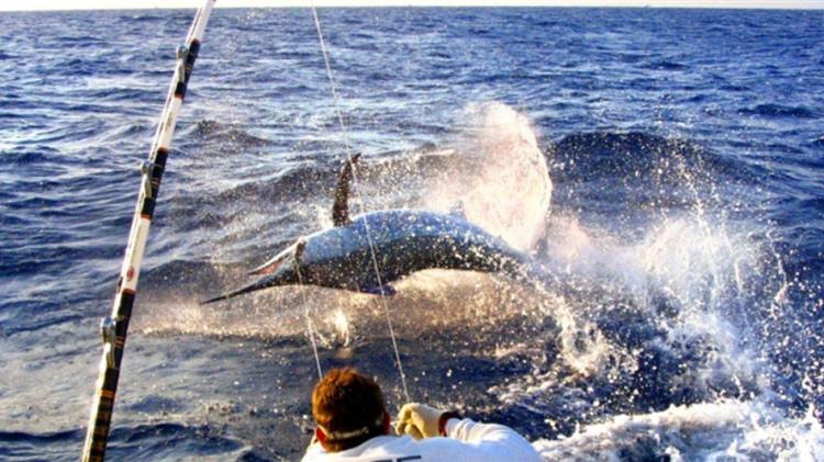 Πελοπόννησος: Εξέταση των δυνατοτήτων για ανάπτυξη του αλιευτικού τουρισμού