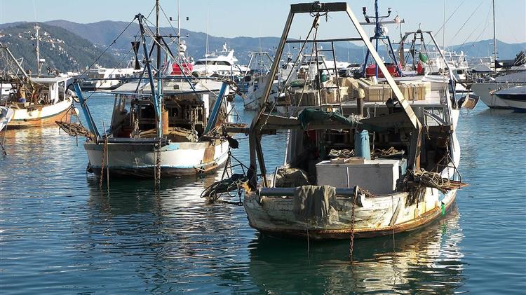 Απόδοση τέλους ρυμουλκών και αλιευτικών πλοίων