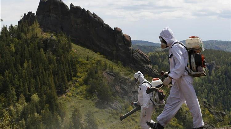 Η Γαλλία εξετάζει την επαναφορά των νεονικοτινοειδών