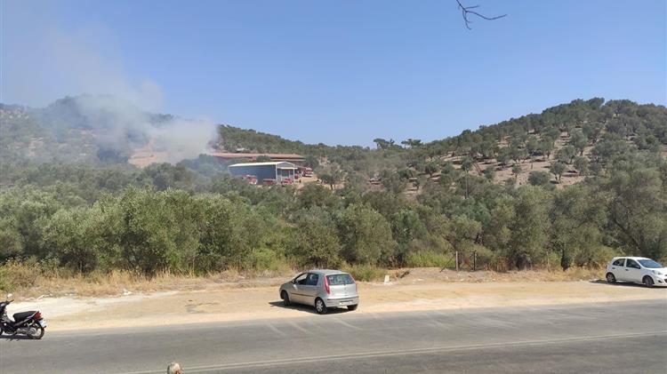 Φωτιά σε κτηνοτροφική μονάδα πίσω από το καμμένο ΚΥΤ Μόριας