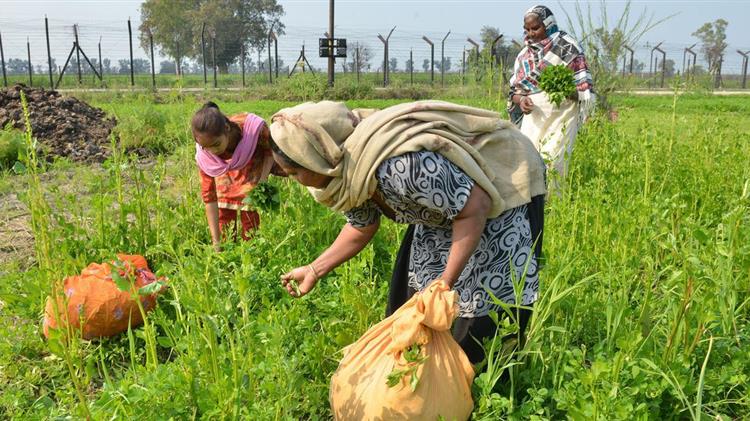 Δυτική Ελλάδα: Επιστολή SOS του περιφερειάρχη -Σοβαρή η έλλειψη χεριών στην φράουλα