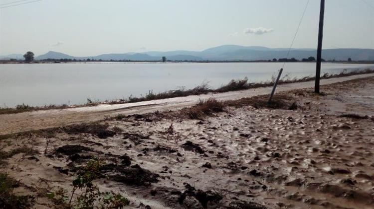 Λύση για τα πλημμυρισμένα χωράφια που δεν αποζημιώθηκαν μετά από παρέμβαση Κόκκαλη στον Λυκουρέντζο!