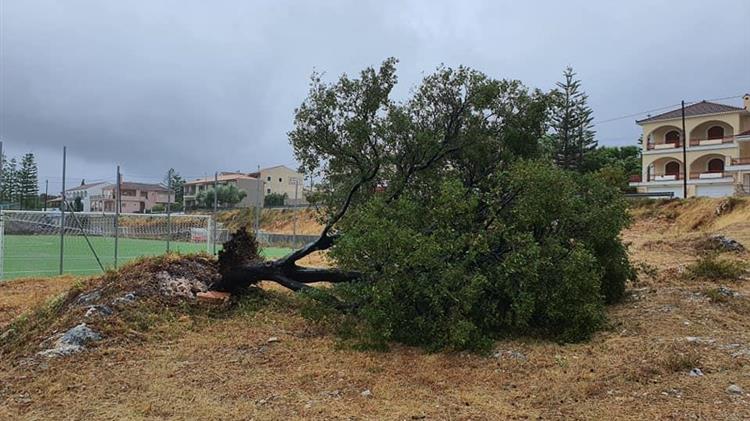 Μ. Βορίδης: Συμψηφίζονται τα τέλη εκτίμησης του ΕΛΓΑ για τους πληγέντες αγρότες