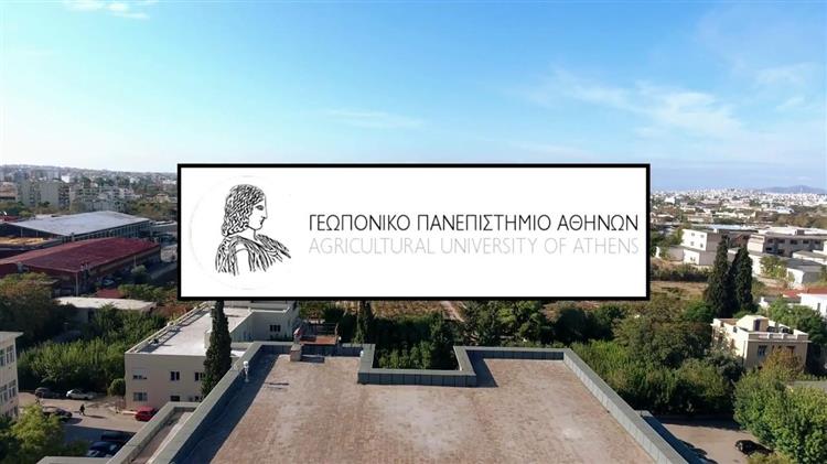 Προκήρυξη Υποψήφιων Διδακτόρων Στο Τμήμα Διοίκησης Γεωργικών Επιχειρήσεων & Συστημάτων Εφοδιασμού