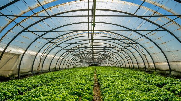 Η ενεργειακή κρίση στην Ευρώπη απειλεί τις βιομηχανίες τροφίμων