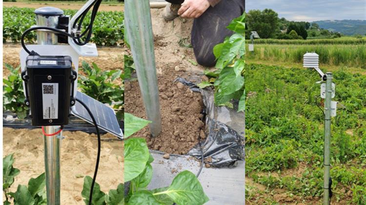 Η Future Intelligence στην Έξυπνη Πόλη και Έξυπνη Γεωργία