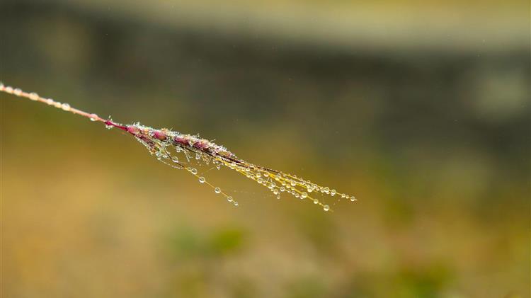 Ποια είναι η αξία της αγροτικής παραγωγής