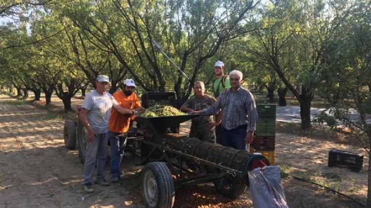 Δήμος Τεμπών: Άμεση πληρωμή των ΠΣΕΑ του 2017 στους αμυγδαλοπαραγωγούς
