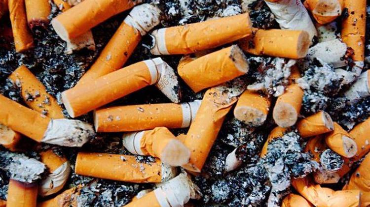 «Γόπα project»: Επεκτείνεται στις γειτονιές της Αθήνας