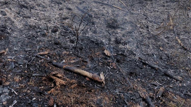 Η προετοιμασία της Περιφέρειας Πελοποννήσου για την αντιπυρική περίοδο