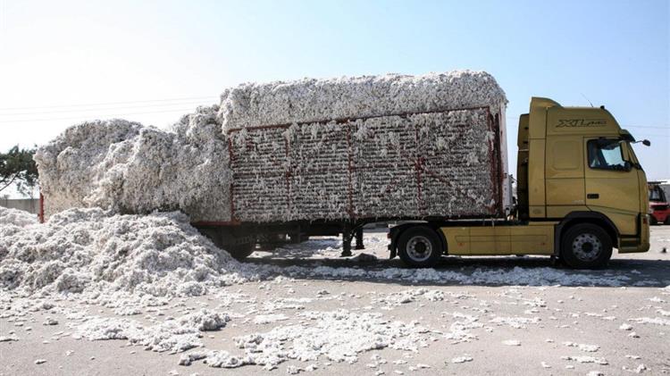 ΠΕΕΕΒ: Τήρηση μέτρων προστασίας λόγω κορονοϊού κατά την περίοδο της συγκομιδής βάμβακος
