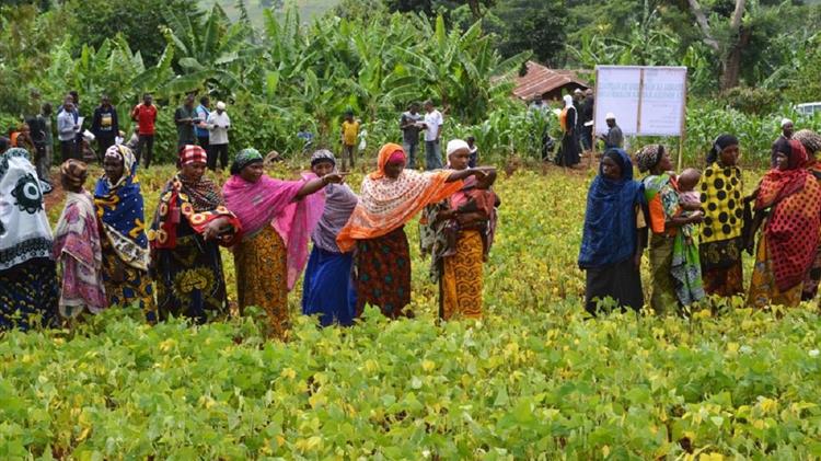 Η επισιτιστική πρόκληση σε ένα βιβλίο που θέτει το ζήτημα σε παγκόσμια βάση