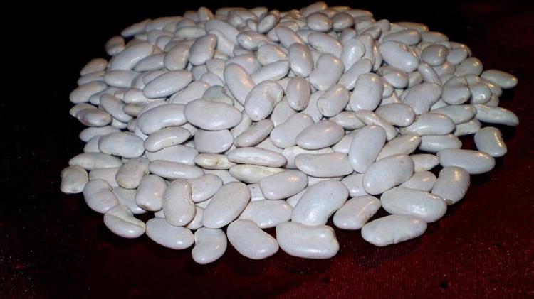 Έλλειψη εργατικών χεριών και «ελληνοποιήσεις» απειλούν τη φασολοπαραγωγή Πρεσπών