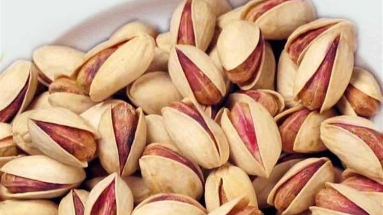 «Αντιμετώπιση παράνομων ελληνοποιήσεων κελυφωτού φιστικιού»