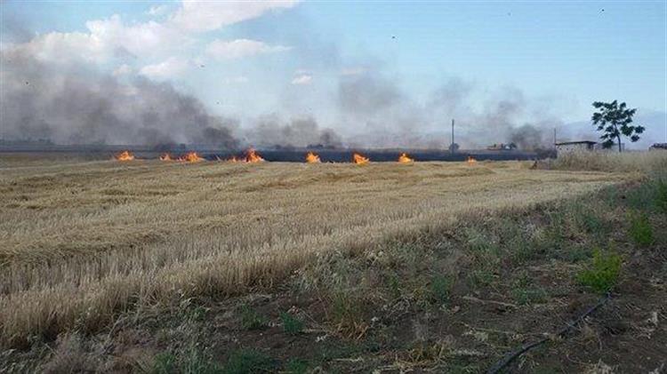 Ανδ. Πάτσης: Για την καύση φυτικών υπολειμμάτων