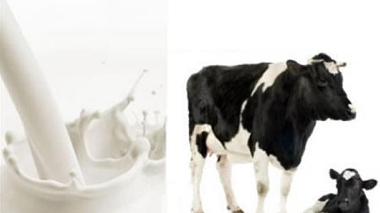 Διπλάσια τιμή για το γάλα ζητούν οι παραγωγοί