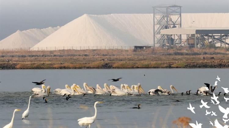 Εξορμήσεις παρατήρησης πουλιών στον υδροβιότοπο της Καλλονής