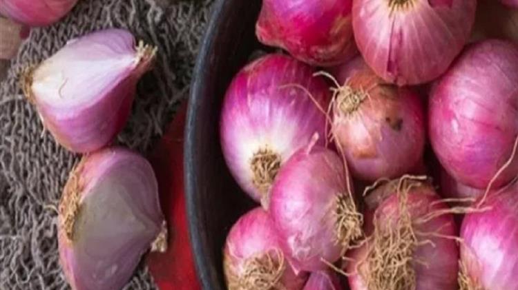 ΗΠΑ: Στο στόχαστρο κρεμμύδια Μεξικού για εκατοντάδες κρούσματα σαλμονέλας