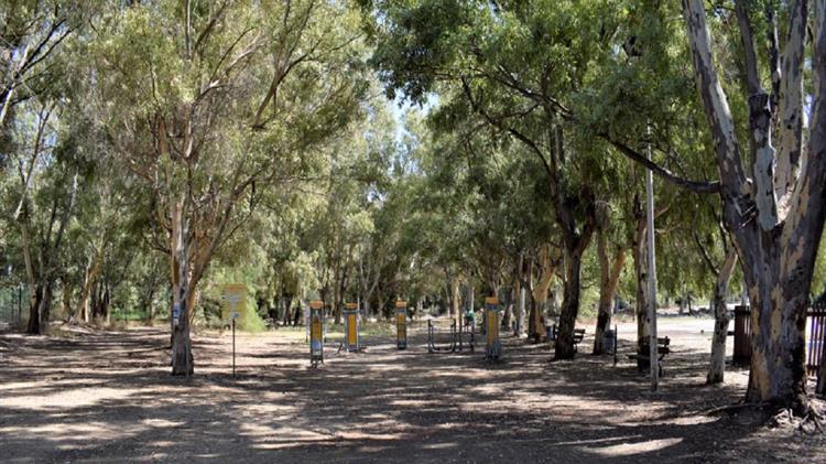 Ένα οικολογικό πάρκο «γεννιέται» μέσα στον αστικό ιστό της Πάτρας