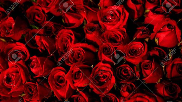 Ο πληθωρισμός είναι το αγκάθι στα φετινά τριαντάφυλλα του Αγίου Βαλεντίνου