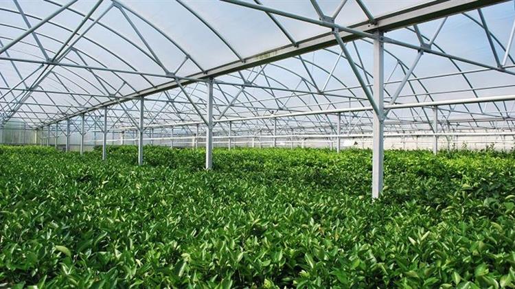 «Αύξηση προϋπολογιζόμενου ποσού για οικονομικές ενισχύσεις σε θερμοκηπιακά κηπευτικά λόγω covid-19»