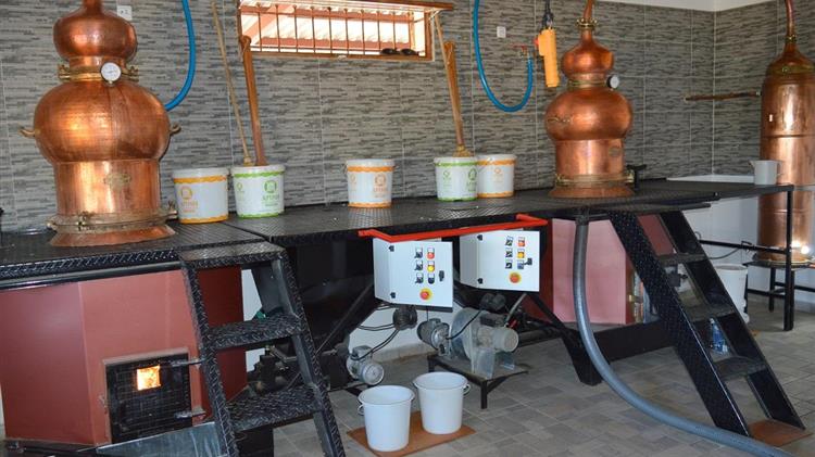 ΙΟΒΕ: Ισχυρό πλήγμα στον κλάδο αλκοολούχων ποτών λόγω της πανδημίας