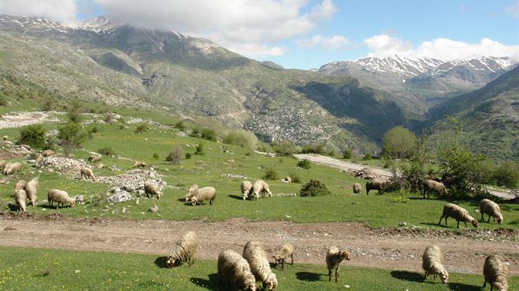 Βοσκοτόπια: Διορθωτικά μέτρα από το 2023 ζητά η Κομισιόν από τον ΟΠΕΚΕΠΕ
