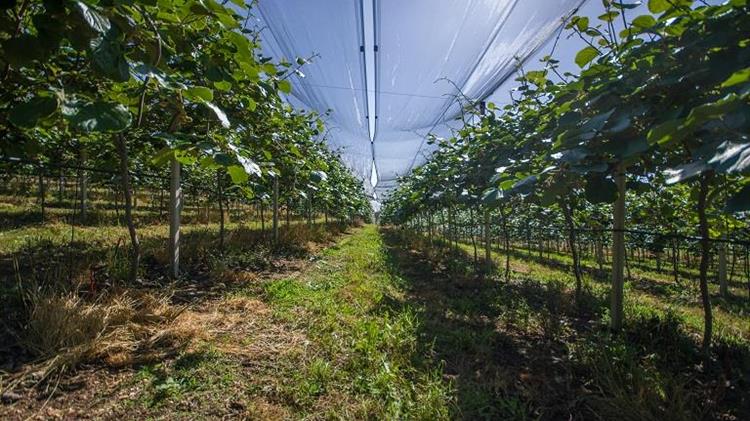 Ανάγκη αεροπορικής αντιχαλαζικής προστασίας στον θεσσαλικό κάμπο