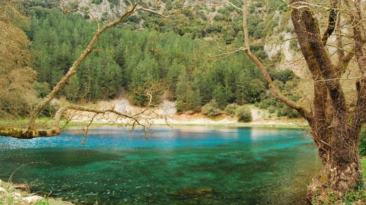 Υποβολή προτάσεων για την εφαρμογή ερευνητικών μέτρων των Σχεδίων Διαχείρισης Λεκανών Απορροής Ποταμών