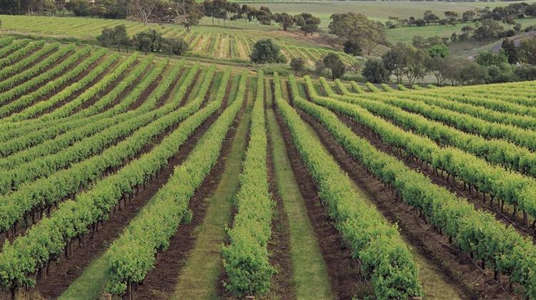 Ασφαλιστικές εισφορές: Κατατέθηκε η τροπολογία