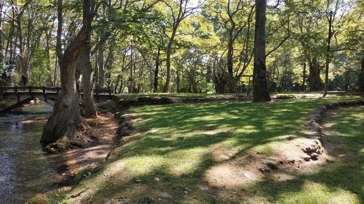 Εγκρίθηκε από το «Πράσινο Ταμείο» η πρόταση του Δήμου Νάουσας