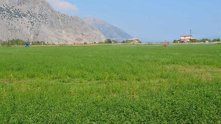 Από 9/11 ξεκινούν οι αιτήσεις για το υπομέτρο 3.1 - Τι αφορά