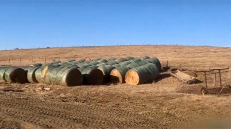 Η πρακτική της ακαλλιέργειας αποδίδει πρόσθετα έσοδα στους αγρότες