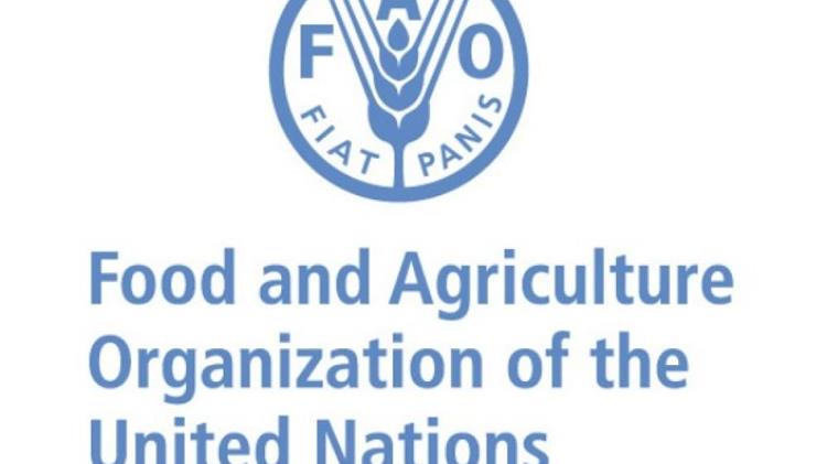 FAO: Απαιτείται νέα περαίωση και επανασχεδιασμός της φορολογικής πολιτικής