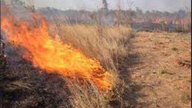 Επιτρέπεται η καύση φυτικών υπολειμμάτων κατά τη διάρκεια της αντιπυρικής περιόδου