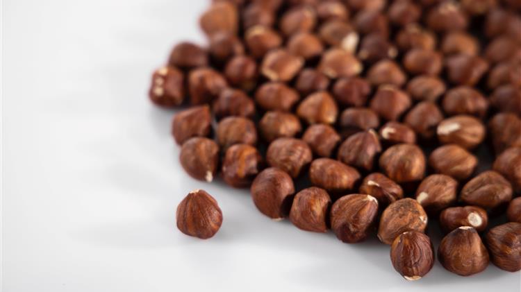 Η σκοτεινή πλευρά της ιταλικής καλλιέργειας φουντουκιών