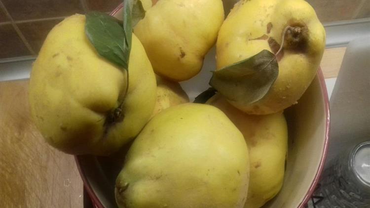 Κυδώνι: Γνωρίστε την διατροφική του αξία!